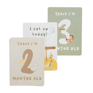 Living Textiles Baby Milestone Cards | Tractor Ride set of 13 Visual Stimulation Cards