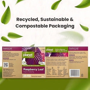 Planet OrganicPlanet Organic Raspberry Leaf Tea BagsTea - Babies Mart Australia